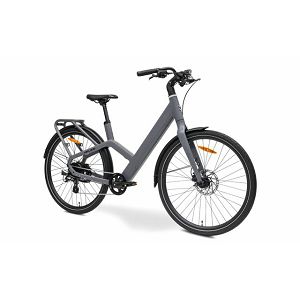 MS ENERGY eBike Veles Grey