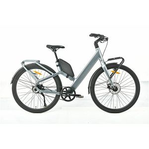 MS ENERGY eBike Veles Plus special gold