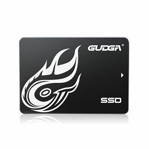 Gudga GS, 1 TB 2,5" SSD, SATA III | 3D NAND
