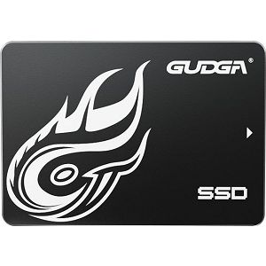Gudga GS, 256 GB 2,5" SSD, SATA III | 3D NAND
