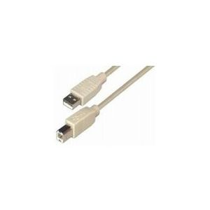 Transmedia USB 2.0 AB, Beige, 5m